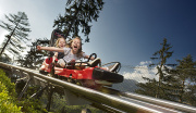 Alpine Coaster Ostirrodler - DIE Sommerrodelbahn in Osttirol-Sportherz Guide