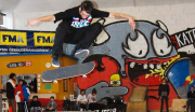 SkateArea23 Wien-Sportherz Guide